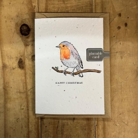 Christmas Robin Seed Card