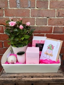 Mothers Day Hamper