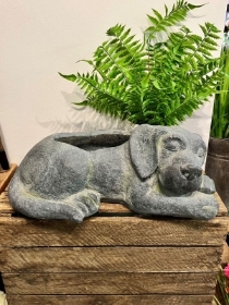 Sleeping Dog Planter